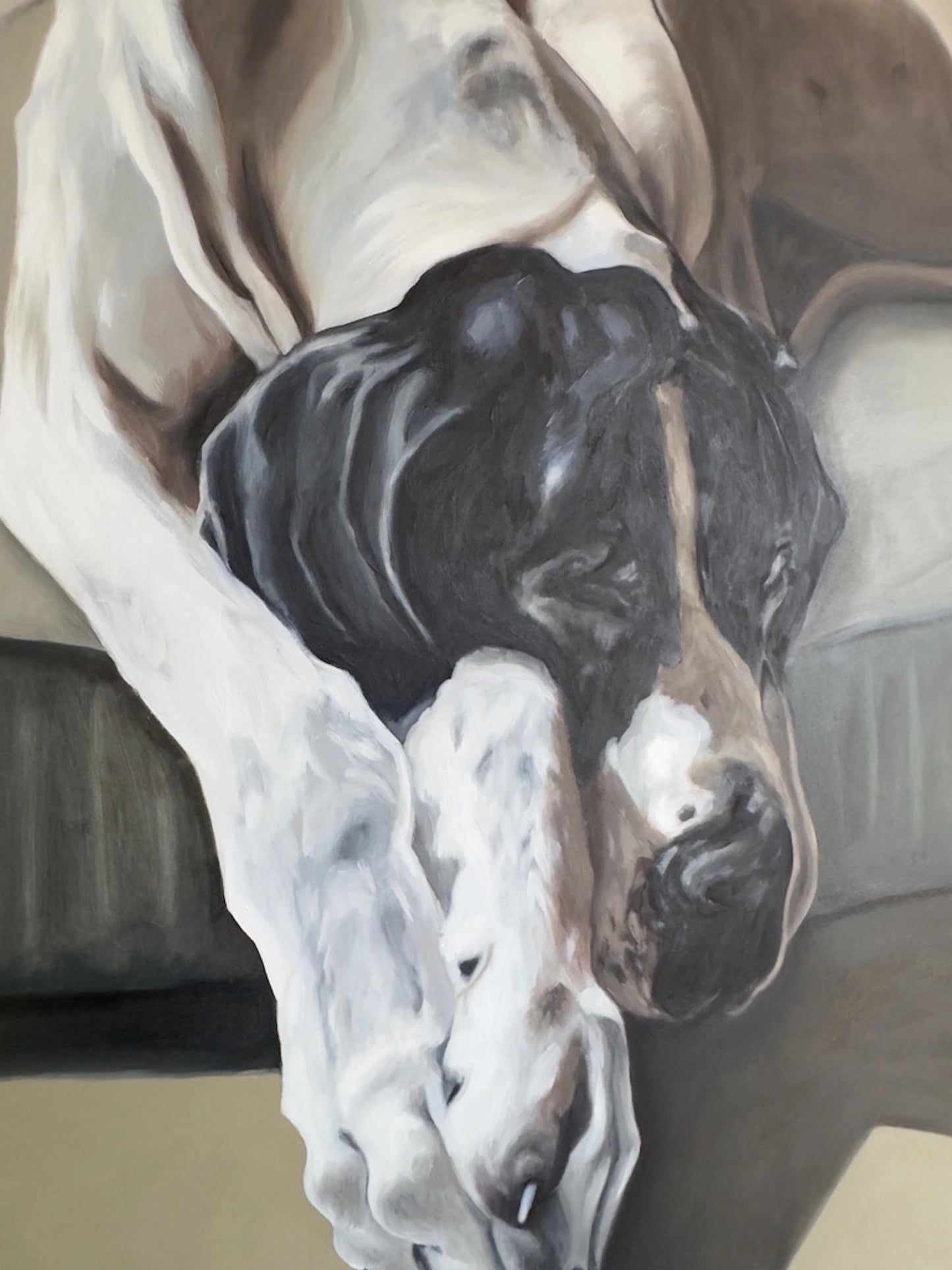 "Sleeping Dane" — Hahnemühle German Etching Giclée Fine Art Print