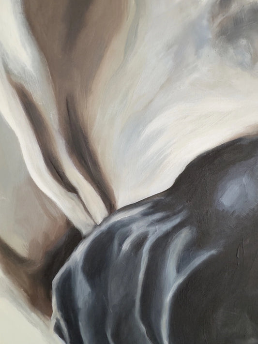 Details of "Sleeping Dane" Print