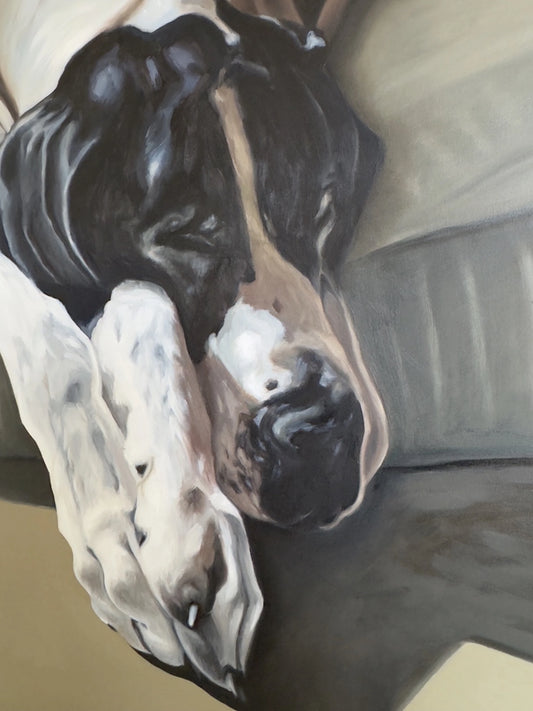 "Sleeping Dane" - Original Oil Painting on Fine Canvas - 76 x 100 cm
