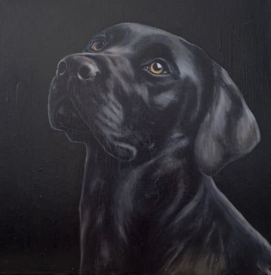 Original Oil Painting - Lorna Mousley - Sold