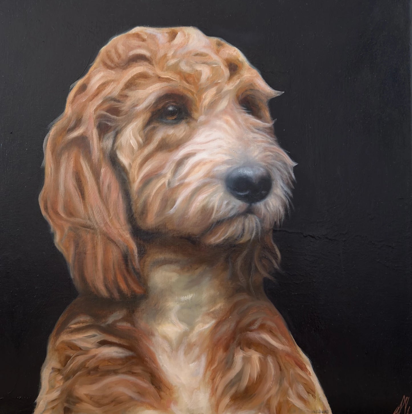 Original Oil Painting - Lorna Mousley - Sold