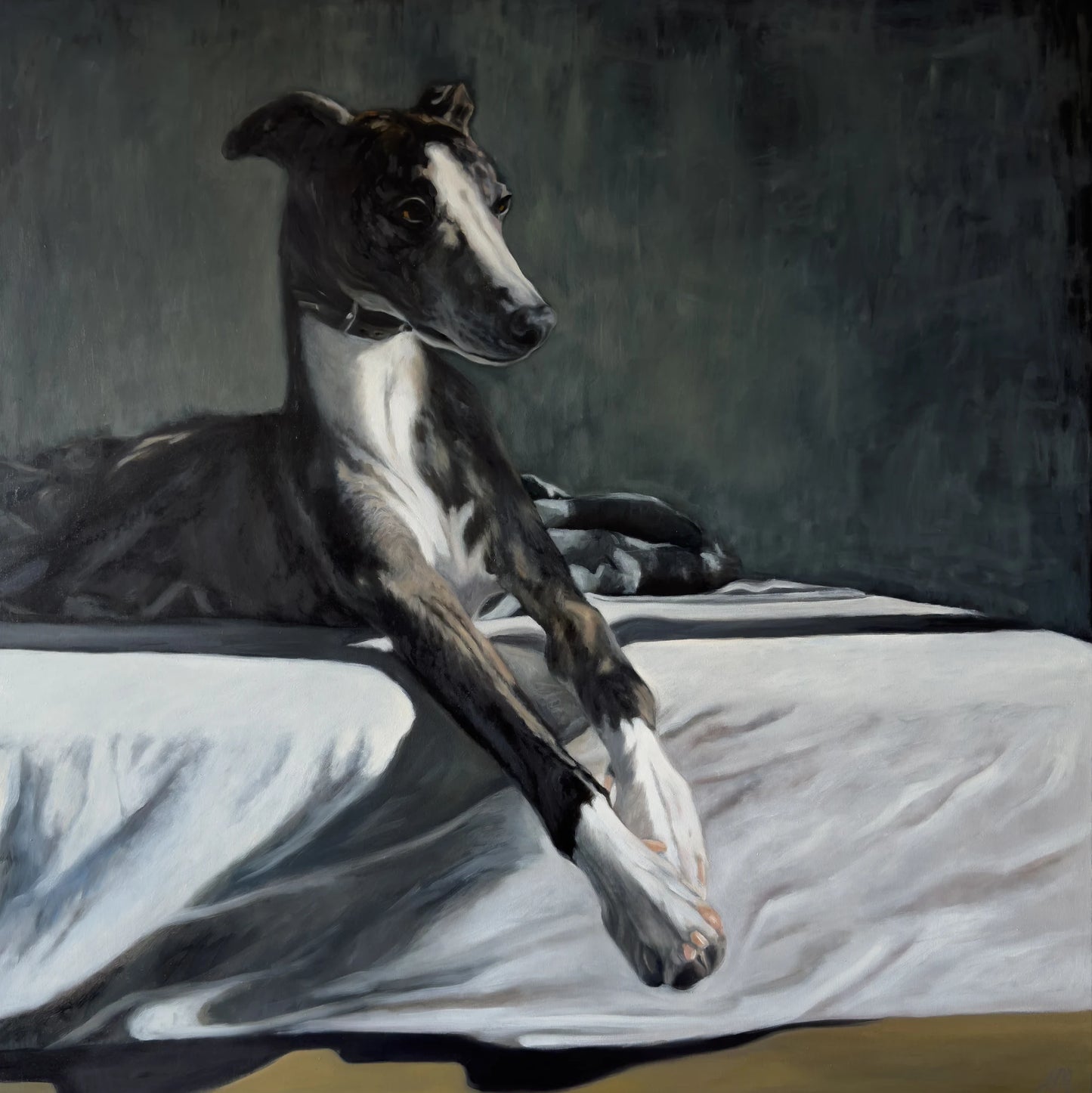 Whippet lying on a bed with a dark background