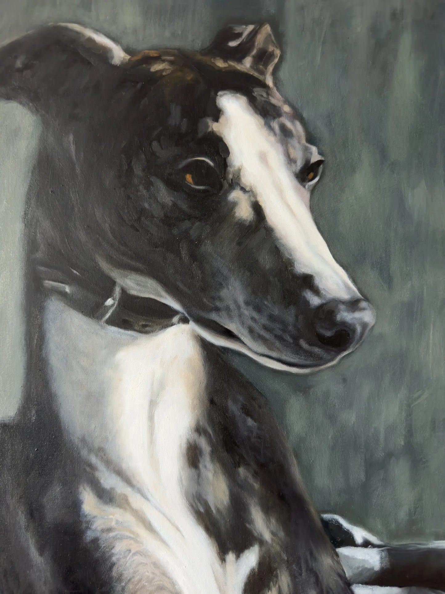 Details of Whippet Oil Painting by Lorna Mousley