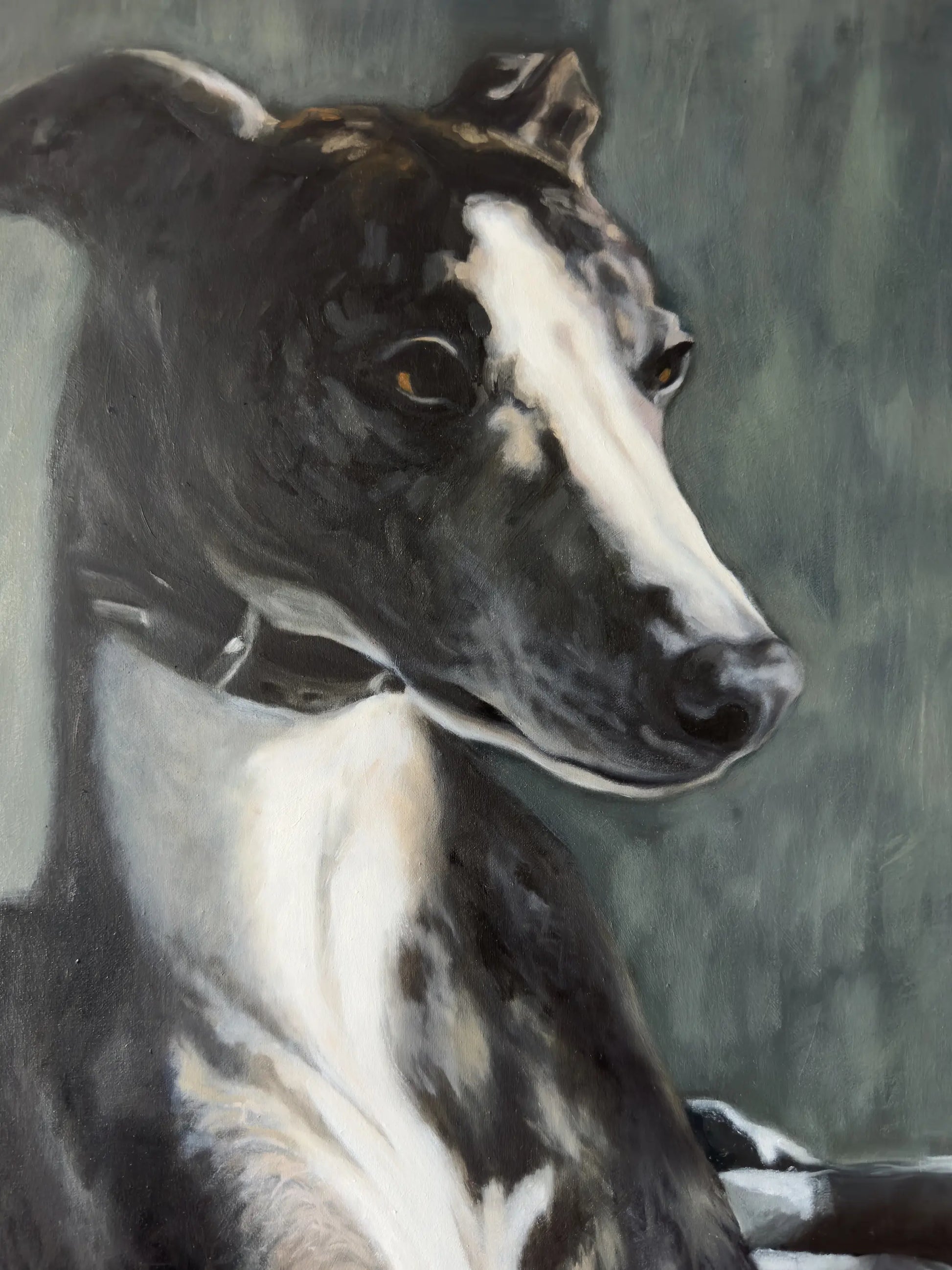 Details of Whippet Oil Painting by Lorna Mousley