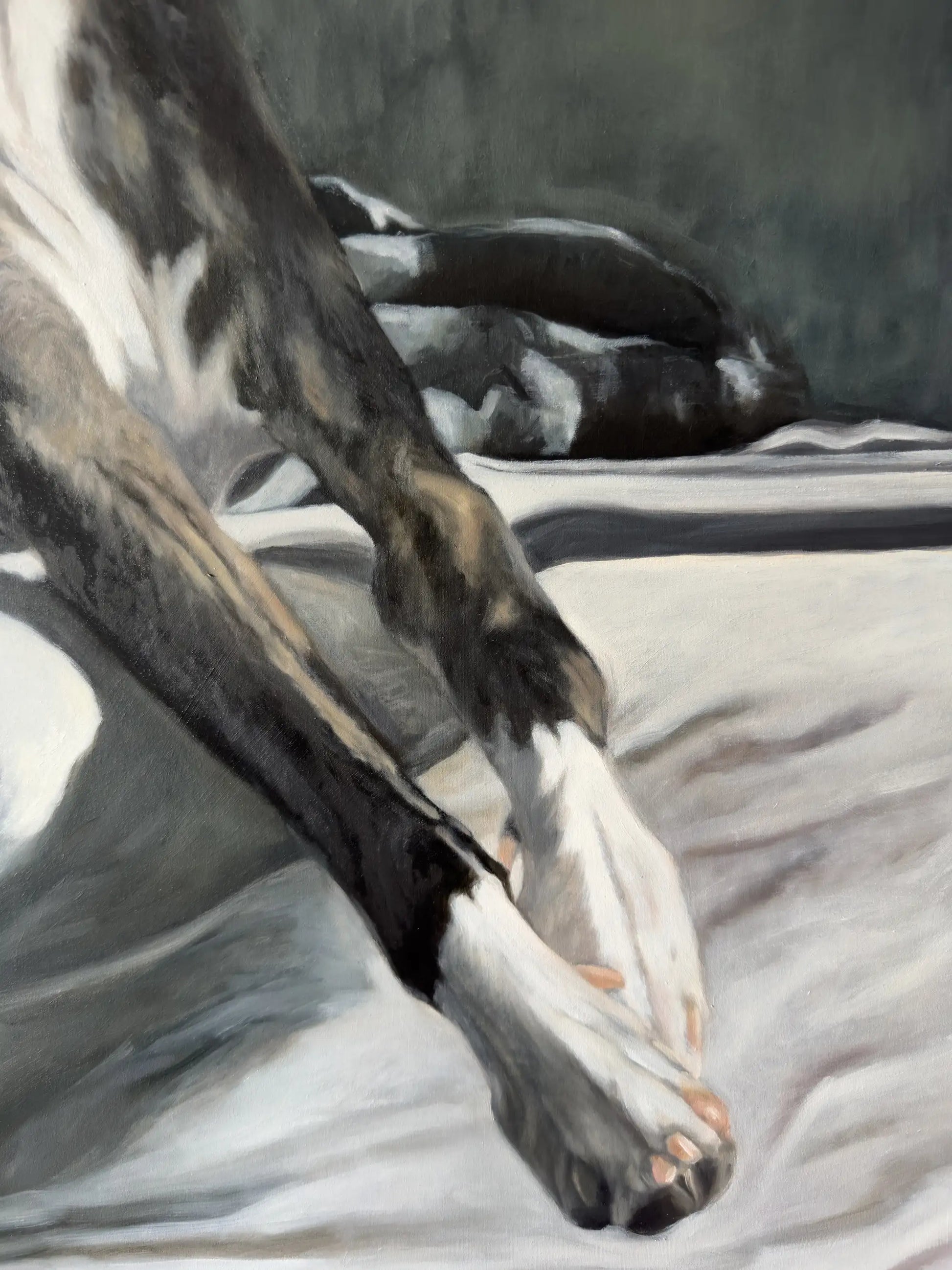 Details of Whippet Oil Painting by Lorna Mousley