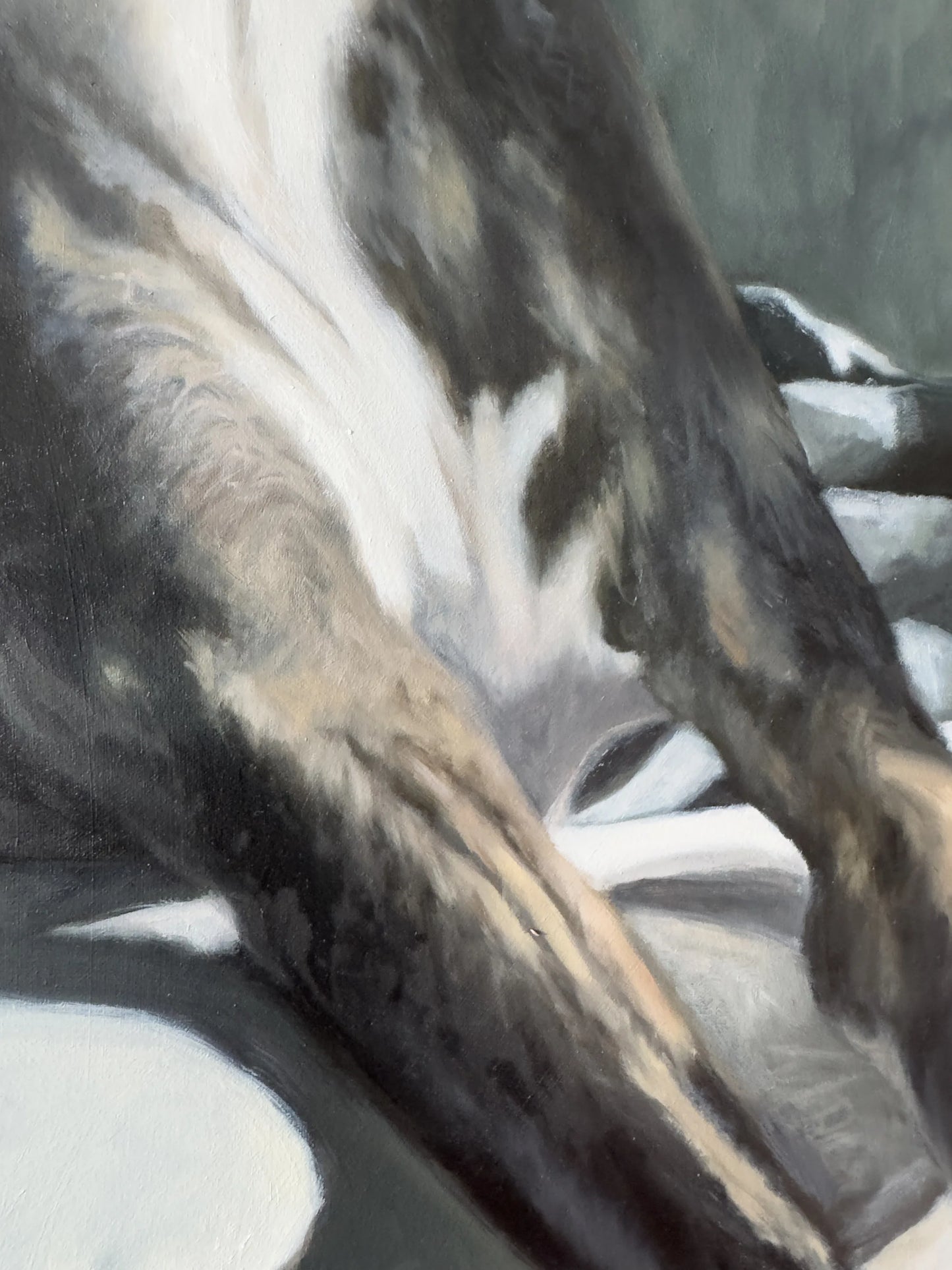 Details of Whippet Oil Painting by Lorna Mousley